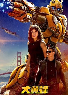 大黄蜂版封面图