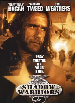 影子勇士2版封面图