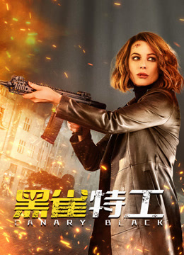 黑雀特工版封面图