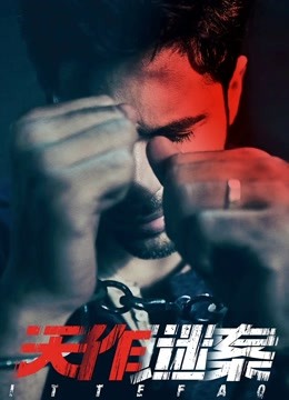 天作谜案版封面图