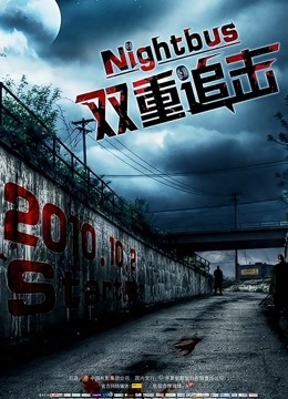 双重追击版封面图