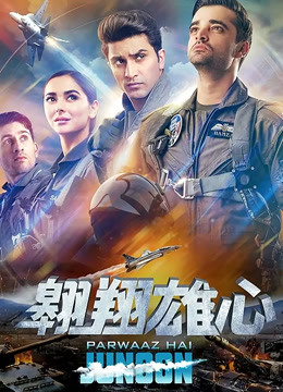 翱翔雄心版封面图