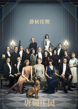 唐顿庄园版封面图