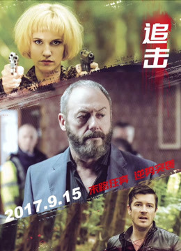 追击版封面图