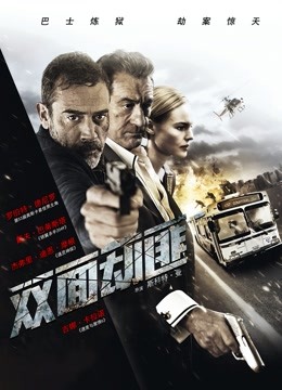 双面劫匪版封面图