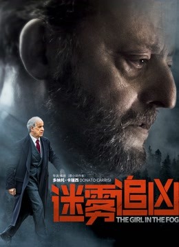 迷雾追凶版封面图
