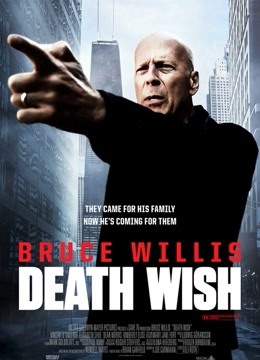 虎胆追凶版封面图