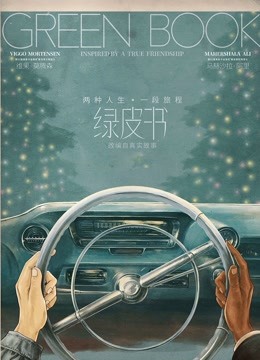 绿皮书版封面图