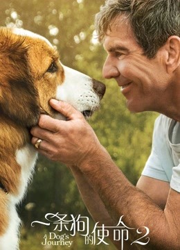 一条狗的使命2版封面图