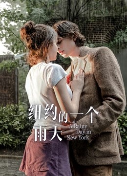 纽约的一个雨天版封面图