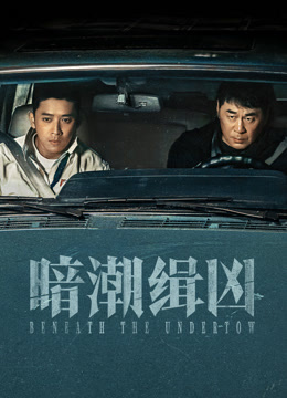 暗潮缉凶封面图