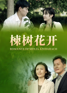 楝树花开封面图