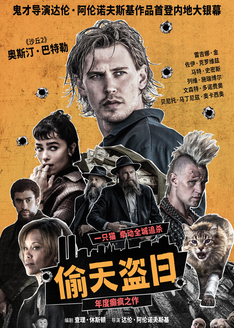 偷天盗日封面图