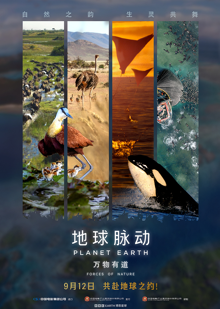 地球脉动:万物有道封面图