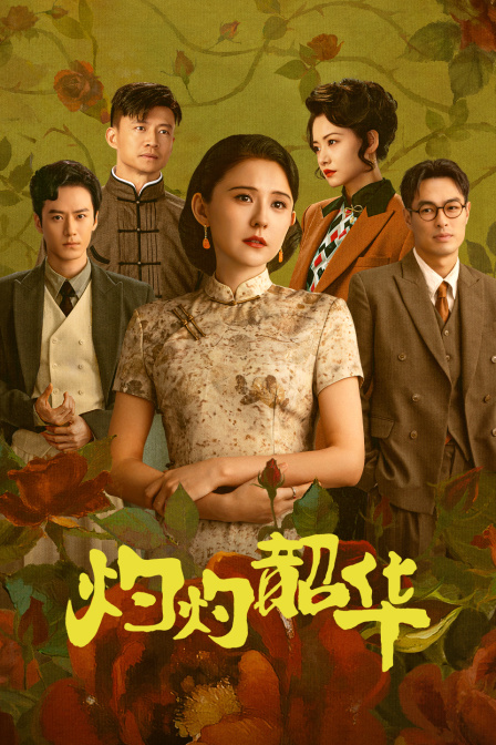 灼灼韶华封面图