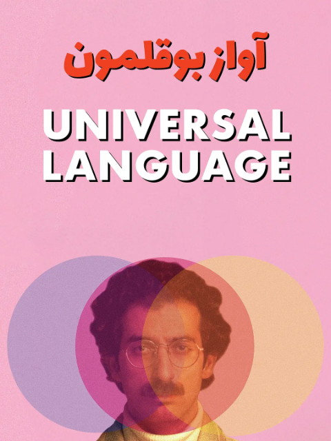 共同的语言封面图