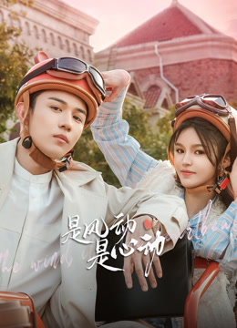 是风动:是心动封面图