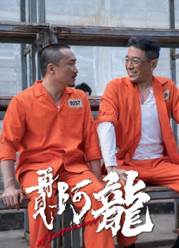 再见阿龙封面图