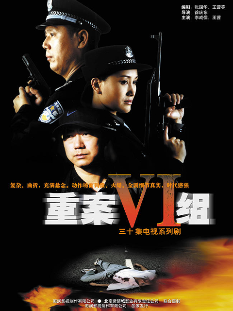 重案六组第一部封面图