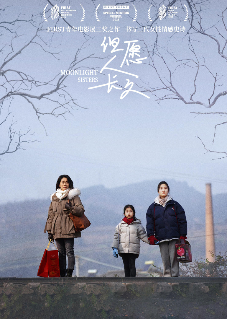 但愿人长久封面图