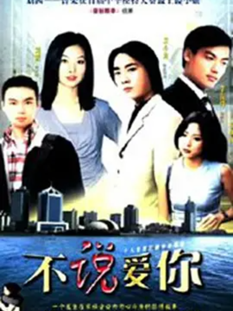 不说爱你封面图