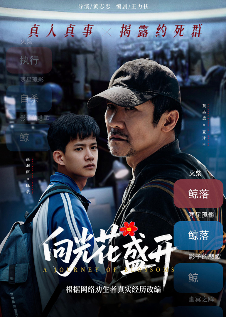 向光花盛开封面图