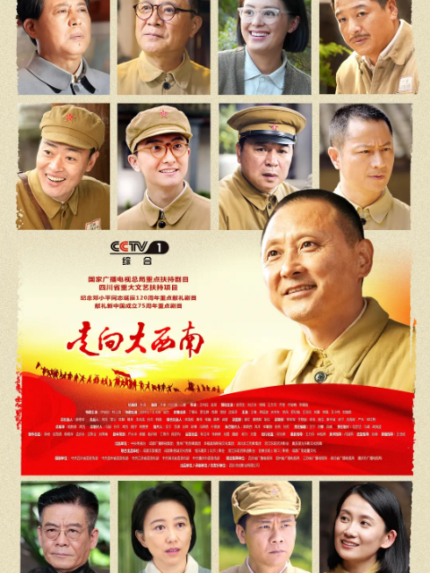 走向大西南封面图