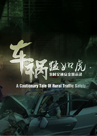 车祸猛如虎农村交通安全警示录封面图