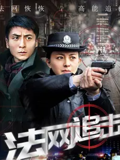法网追击
