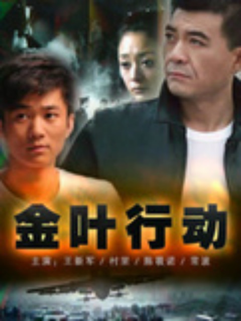 金叶行动封面图