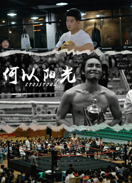 何以阳光封面图