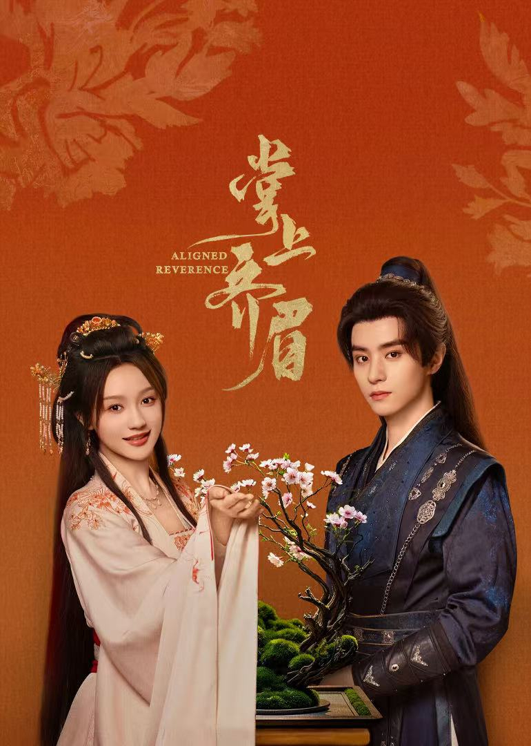 掌上齐眉封面图