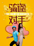 骑逢对手封面图