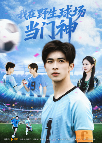 我在野生球场当门神封面图