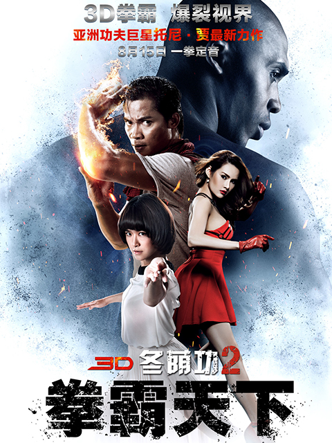 冬荫功2拳霸天下封面图