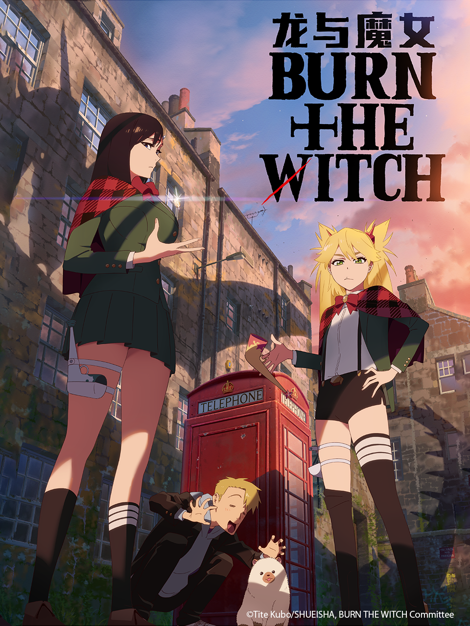 龙与魔女BURNTHEWITCH封面图