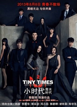 小时代2青木时代封面图
