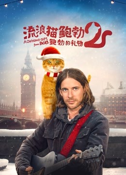 流浪猫鲍勃2鲍勃的礼物封面图