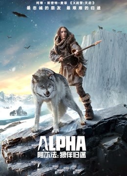 阿尔法狼伴归途封面图