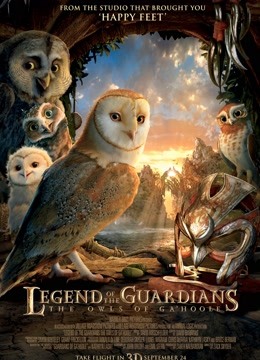 猫头鹰王国守卫者传奇封面图