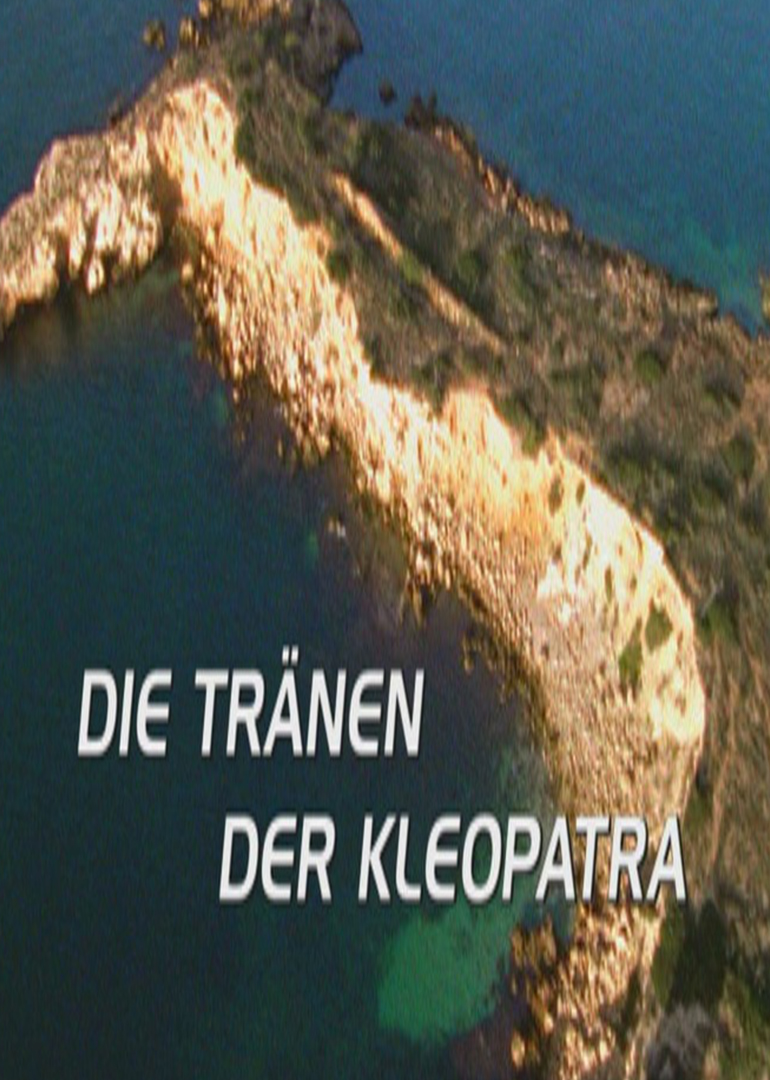 海上惊鱼睡美人封面图