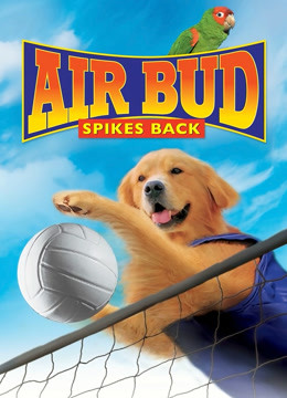 飞狗巴迪5排球健将版封面图