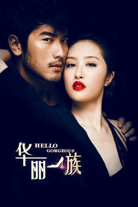 华丽一族版封面图