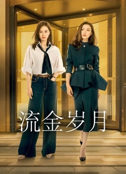 流金岁月版封面图