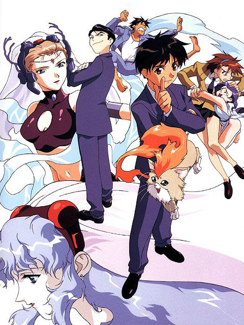 神秘的世界ELHAZARDOVA封面图