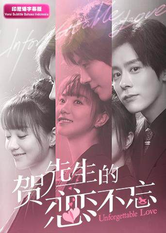 贺先生的恋恋不忘印尼语封面图