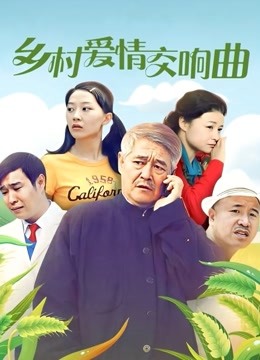 乡村爱情4交响曲封面图