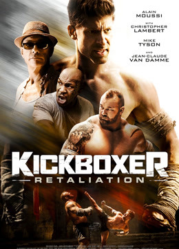 搏击之王反击封面图