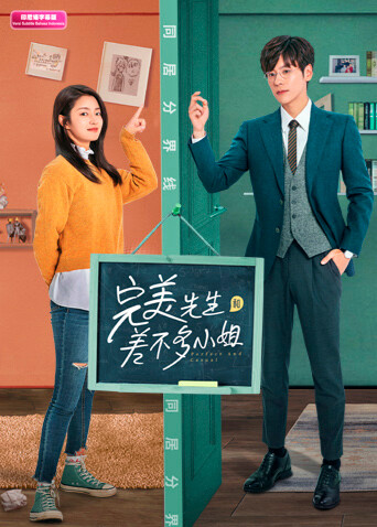 完美先生和差不多小姐印尼语封面图