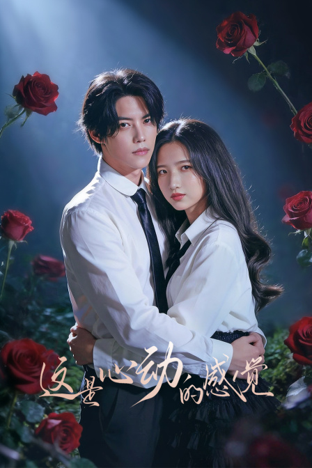 这是心动的感觉封面图